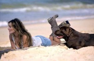 8 celebridades que están en contra del maltrato animal