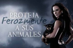 8 celebridades que están en contra del maltrato animal