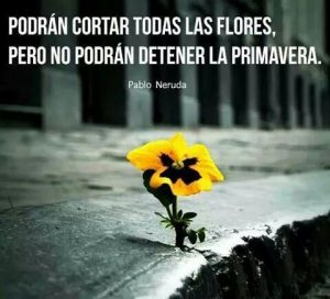Pablo Neruda: 10 frases emblemáticas del famoso poeta chileno