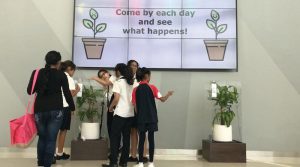 ¿Las plantas sufren al hacerles bullying?