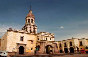 La misteriosa leyenda del ÁRBOL con ESPINAS en forma de CRUZ 