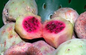 Xoconostle: 5 beneficios que NO conocías del rico fruto ácido