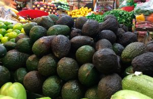 Precio del aguacate se eleva hasta los 80 pesos por kilo