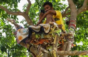 Joven tuvo que vivir en un árbol para no contagiar a su familia de Covid_19