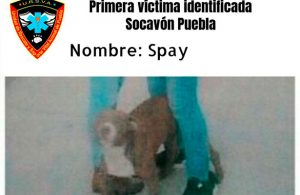 Con el hashtag #RescatenASpay, usuarios de redes piden rescate de perrito que cayó en socavón de Puebla