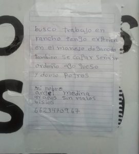 Realiza su currículum a mano y obtiene 30 ofertas de trabajo 