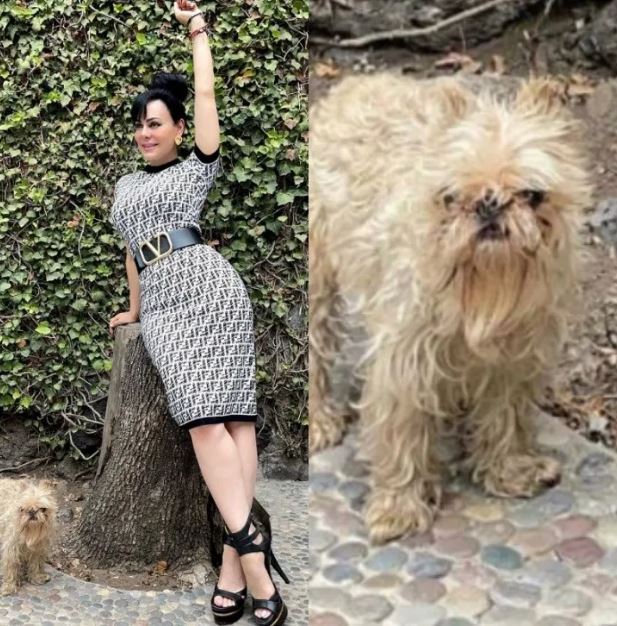Maribel Guardia despide con emotivo mensaje a su perrita "Sadie"