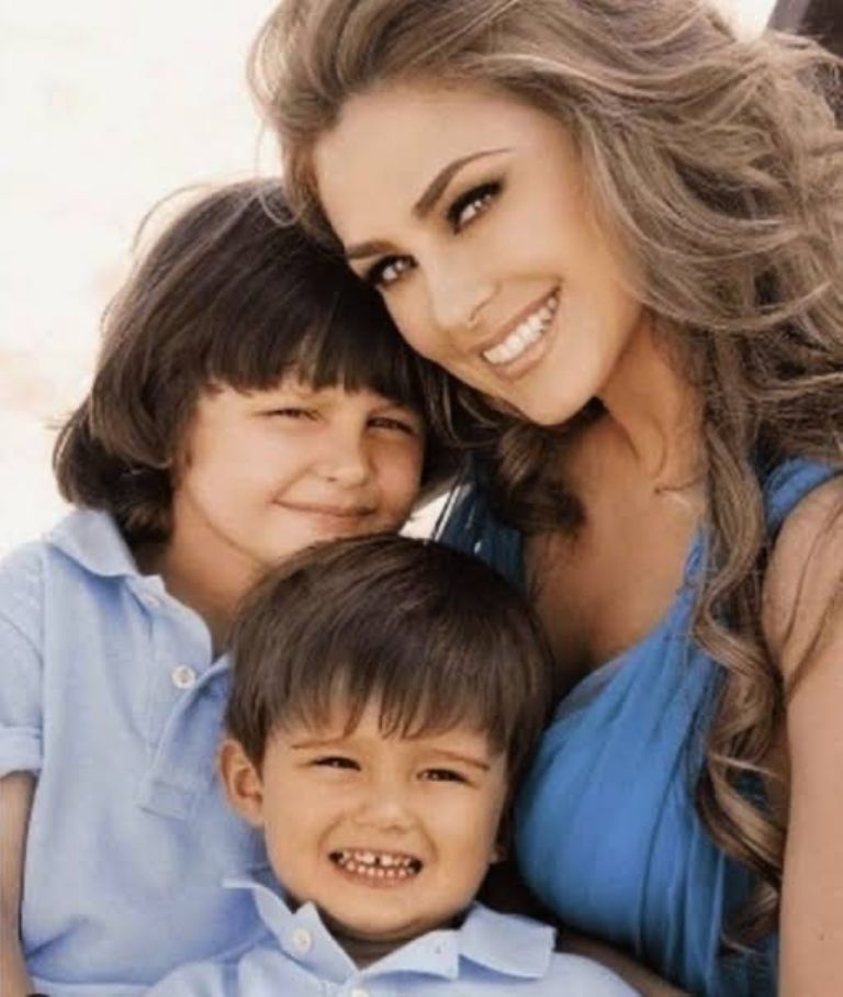 Afirman que Luis Miguel ya pagó se deuda por pensión alimenticia a Aracely Arámbula