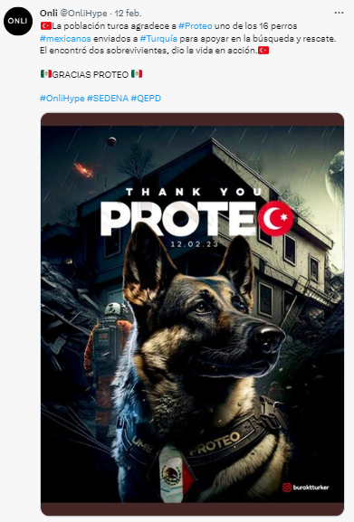 Proteo: ¿De qué murió el famoso perrito rescatista?